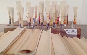 Reed cover PIC